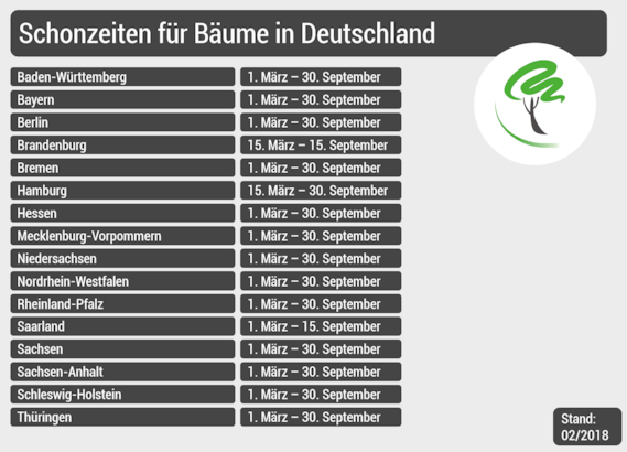 Schonzeiten, Baumfällen